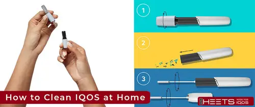 IQOS ILUMA VS IQOS ILUMA Prime: Everything You Need to Know