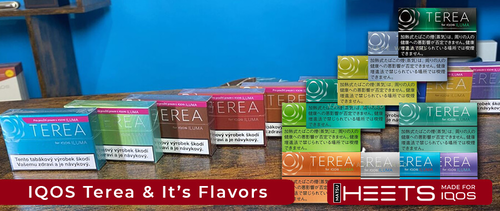 What is IQOS Terea and its Flavors ( Features and User Guide )
